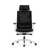 AERO Mesh Ergonomic Chair for Sale - Office Chair Dubai UAE