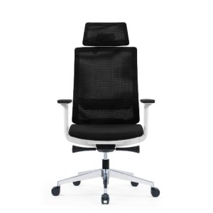 AERO Mesh Ergonomic Chair for Sale - Office Chair Dubai UAE