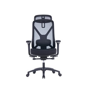 CROWN Mesh Ergonomic Chair