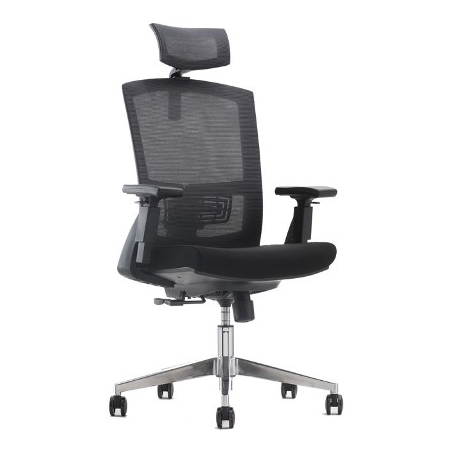 CROWN Mesh Ergonomic Chair - Image 2