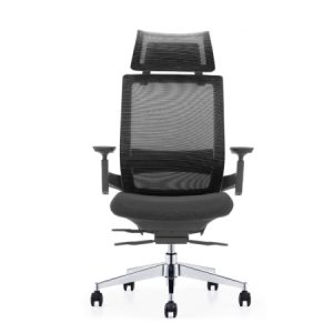 EMBRACE Mesh Ergonomic Chair - Employee Productivity Office Chair Dubai UAE