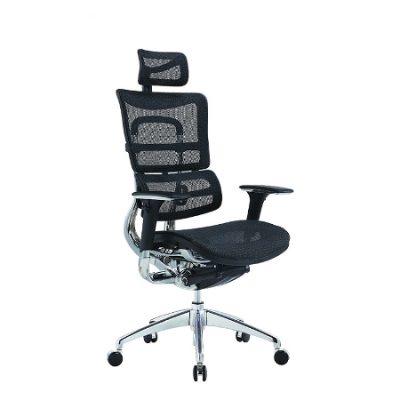 Ergonomic Chairs