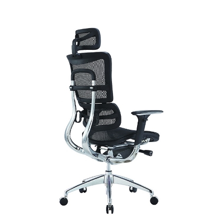 ERGO FREN Mesh Ergonomic Chair - Image 4