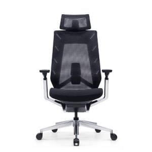 EROL Mesh Ergonomic Chair