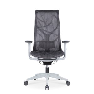 EVE Mesh Ergonomic Chair with adjustable lumbar support - Office Chair Dubai UAE for sale