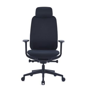 ERGO PLUS Black Ergonomics Chair