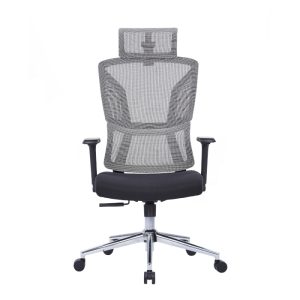 PHINIX Mesh Ergonomic Chair
