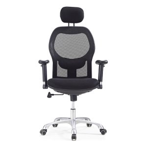 SALLY Mesh Ergonomic Chair
