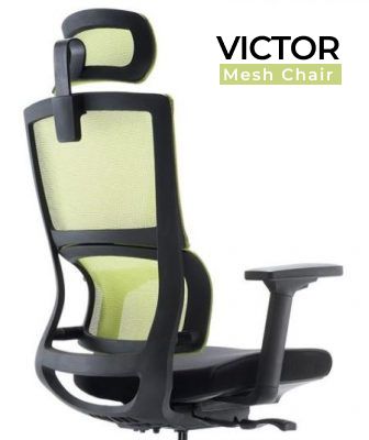 VICTOR Mesh Ergonomic Chair - Auto adjustable lumbar support Office Chair Dubai UAE for Sale