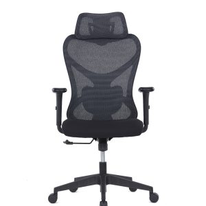 ORACLE Mesh Ergonomic Chair