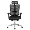 ERGO FLY Full Mesh Ergonomic Chair - Professional Adjustable Office Chair Dubai