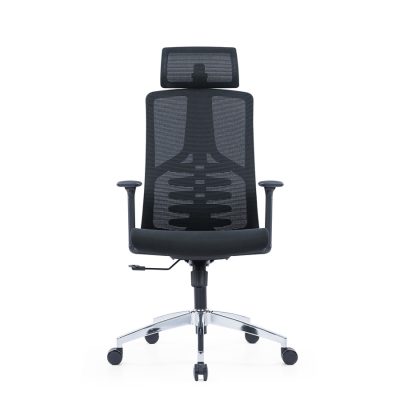 SPIDER Mesh Ergonomic Chair