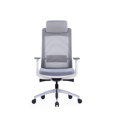 VLAD Mesh White Frame Ergonomic Chair